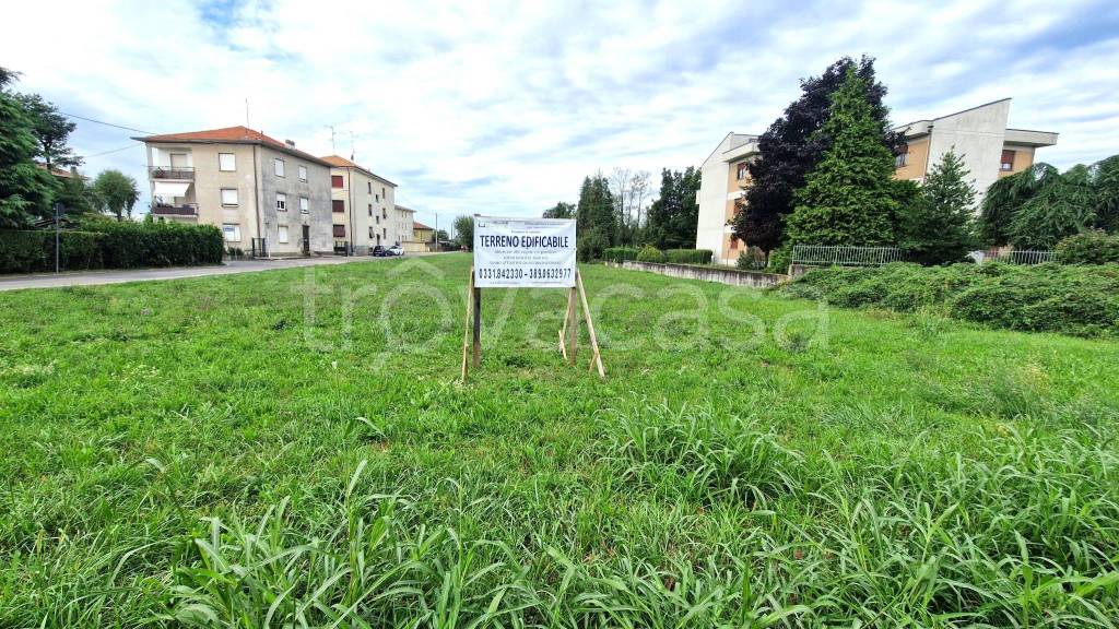 immagine annuncio 3 di 14