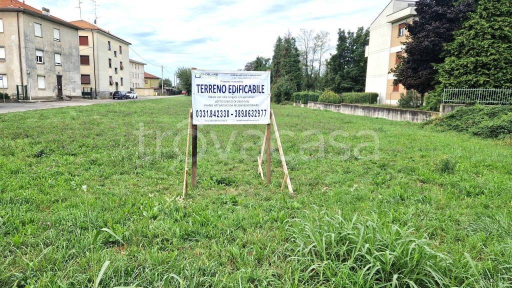 immagine annuncio 4 di 14