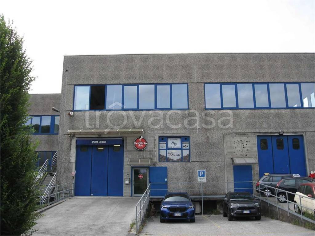 immagine annuncio 2 di 14