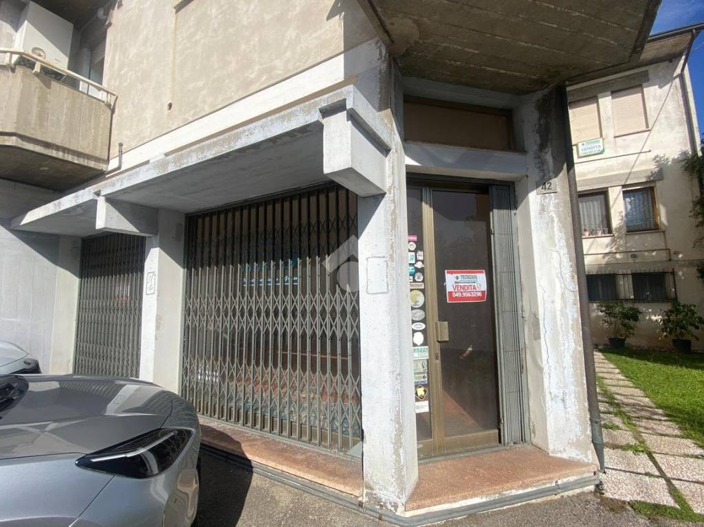 immagine annuncio 6 di 13