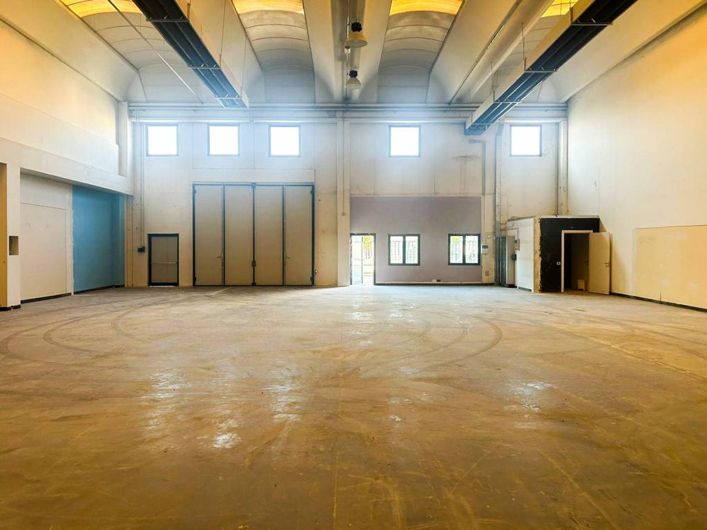 immagine annuncio 7 di 15