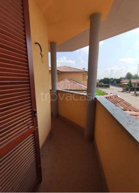 immagine annuncio 11 di 14