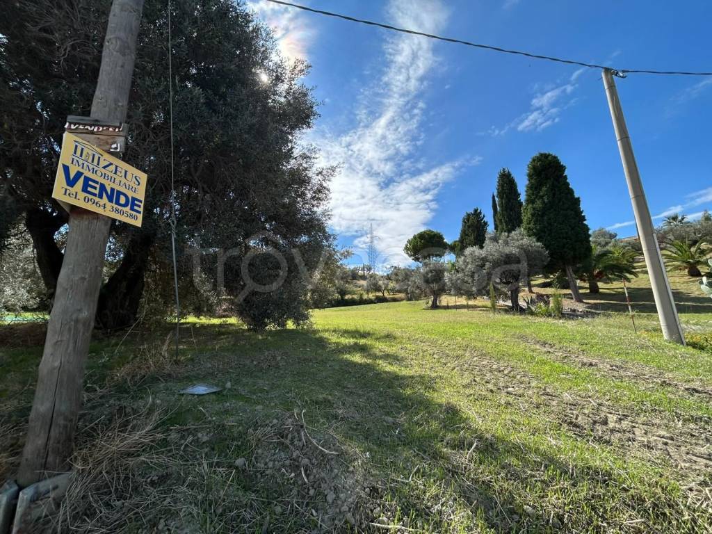 immagine annuncio 2 di 7