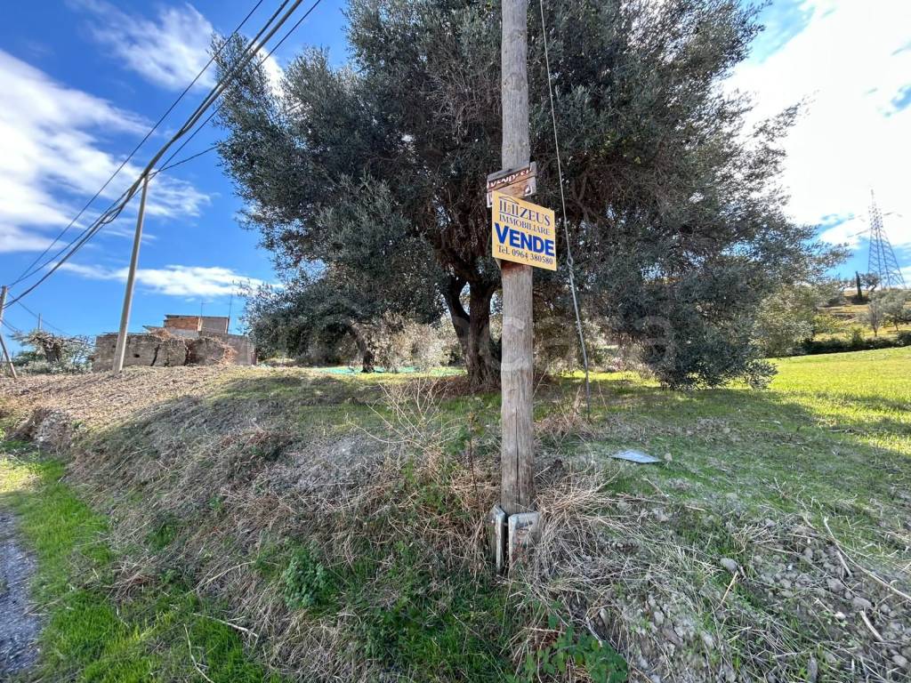 immagine annuncio 3 di 7