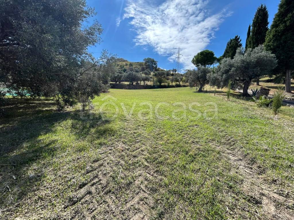 immagine annuncio 4 di 7