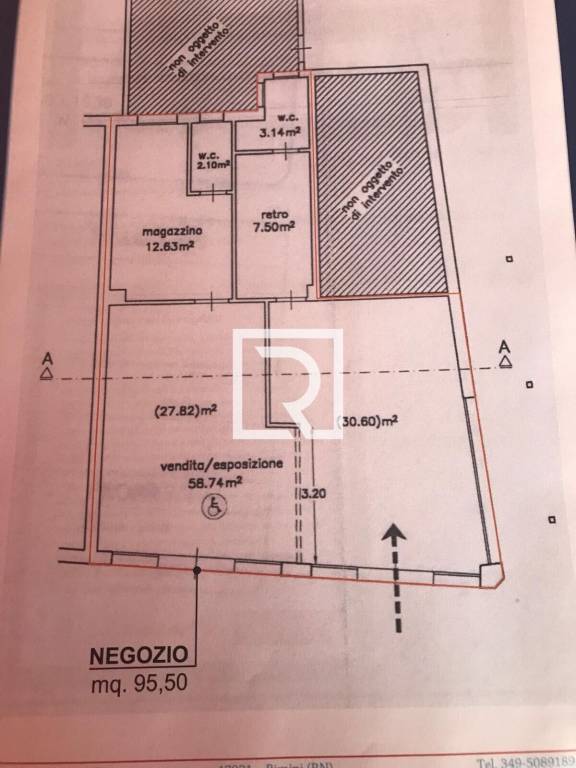 immagine annuncio 13 di 14