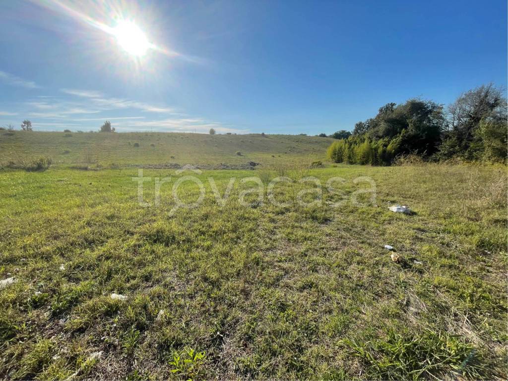 immagine annuncio 1 di 2