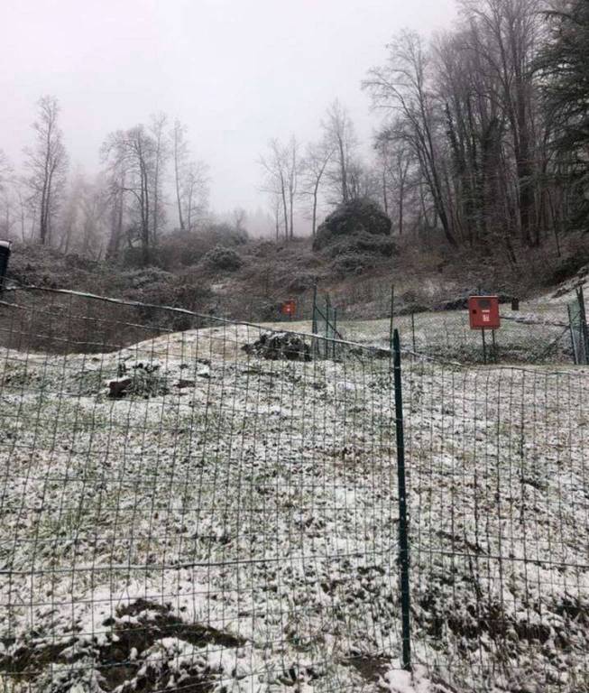 immagine annuncio 2 di 14