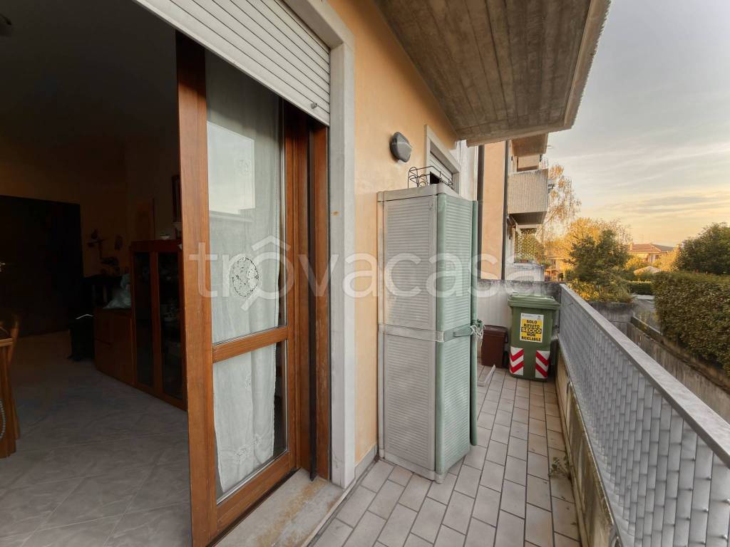 immagine annuncio 5 di 14
