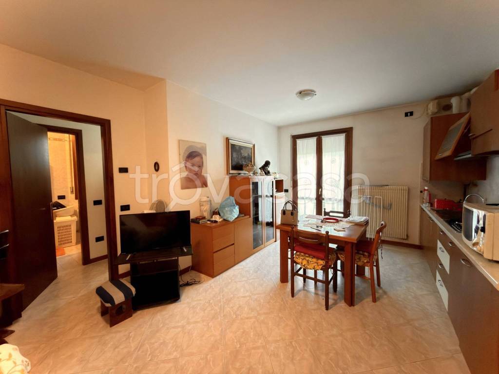 immagine annuncio 1 di 14