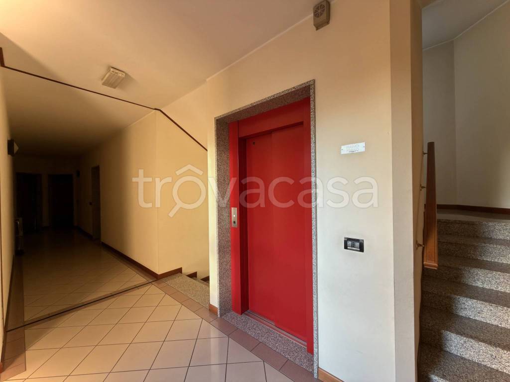 immagine annuncio 12 di 14