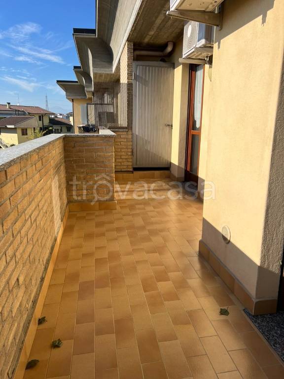 immagine annuncio 9 di 12