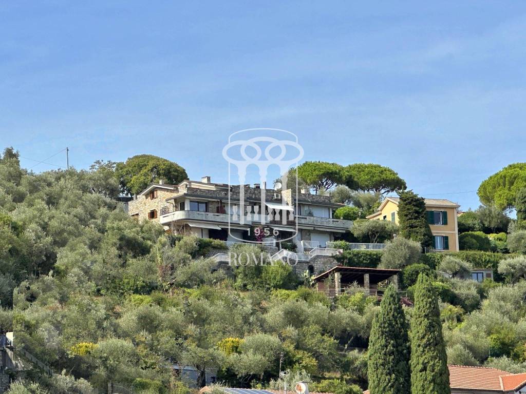 immagine annuncio 11 di 14