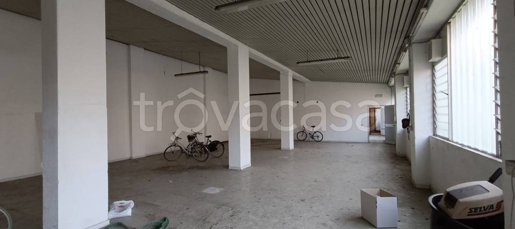 immagine annuncio 2 di 8