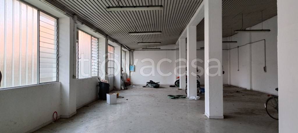 immagine annuncio 3 di 8