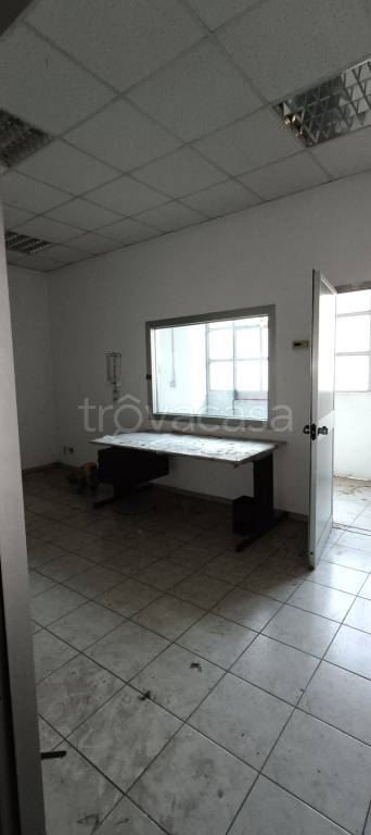 immagine annuncio 5 di 8