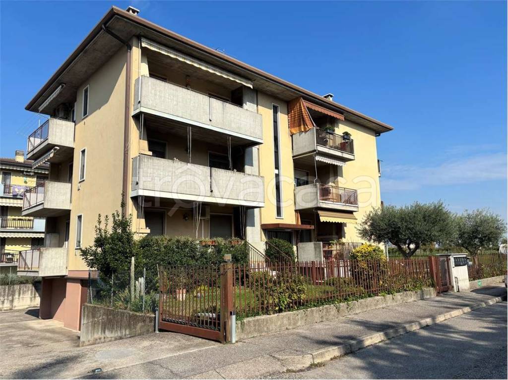 immagine annuncio 1 di 15