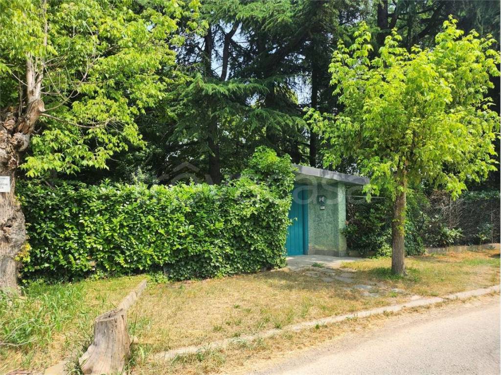 immagine annuncio 12 di 15