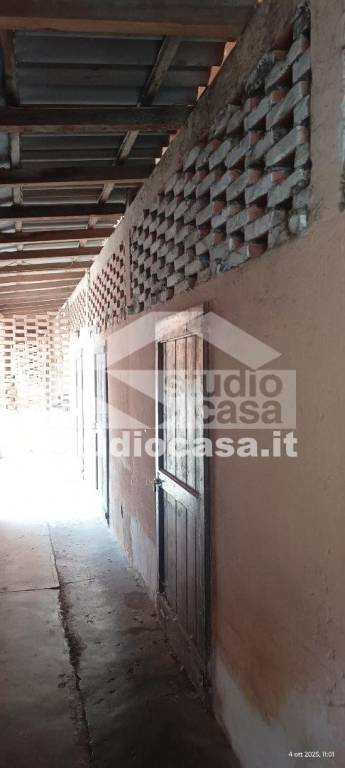 immagine annuncio 10 di 14