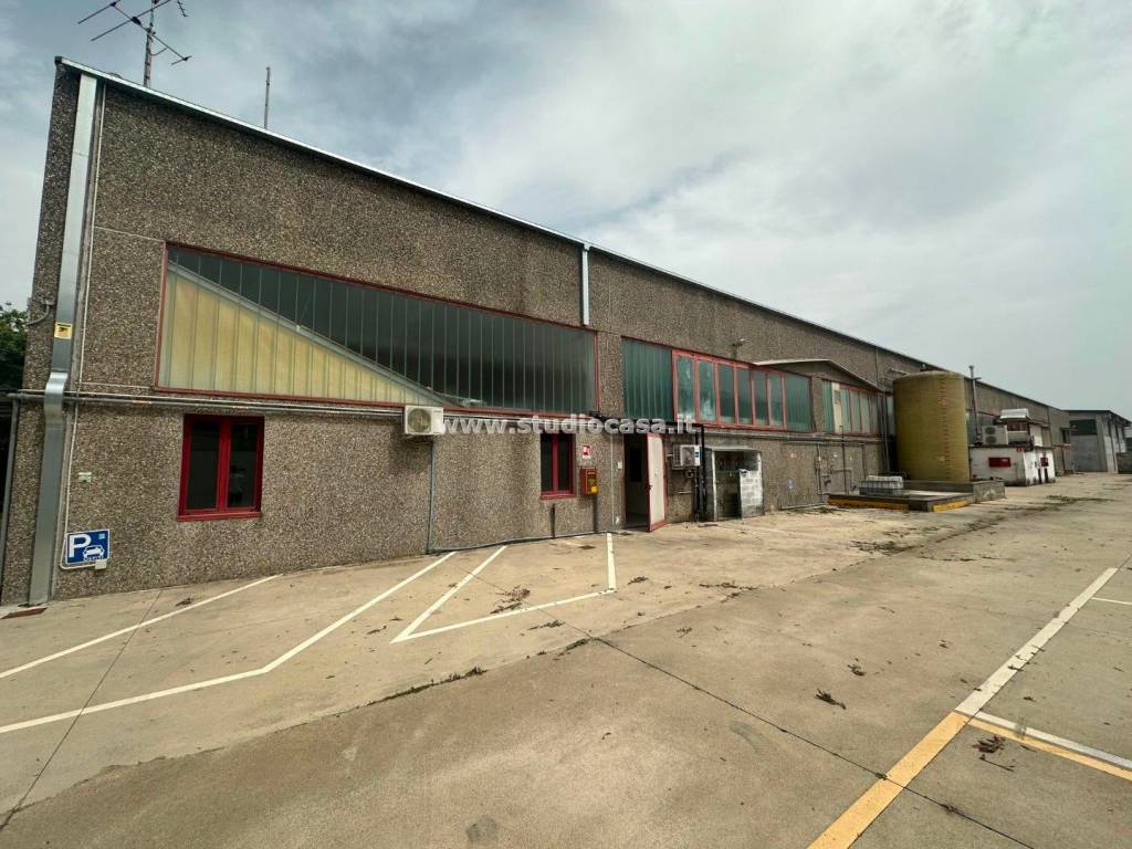 immagine annuncio 5 di 15