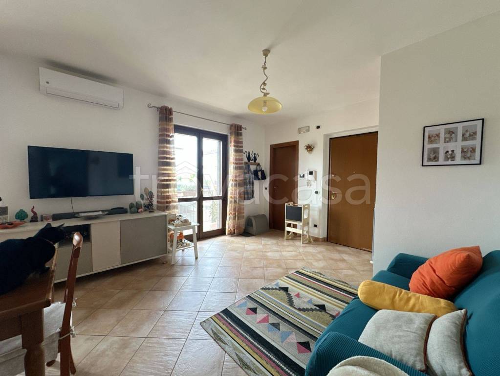 immagine annuncio 9 di 10