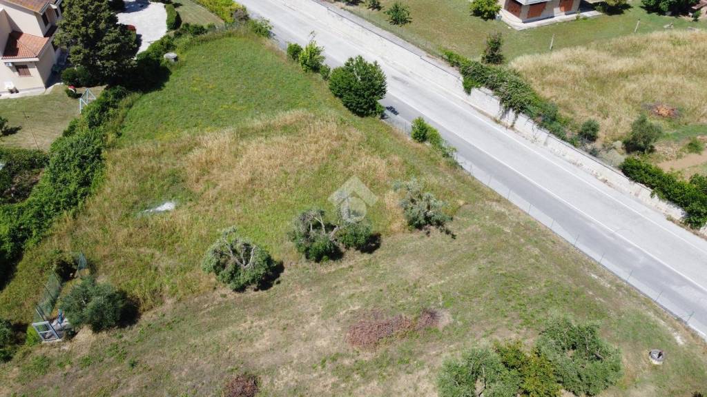 immagine annuncio 9 di 13