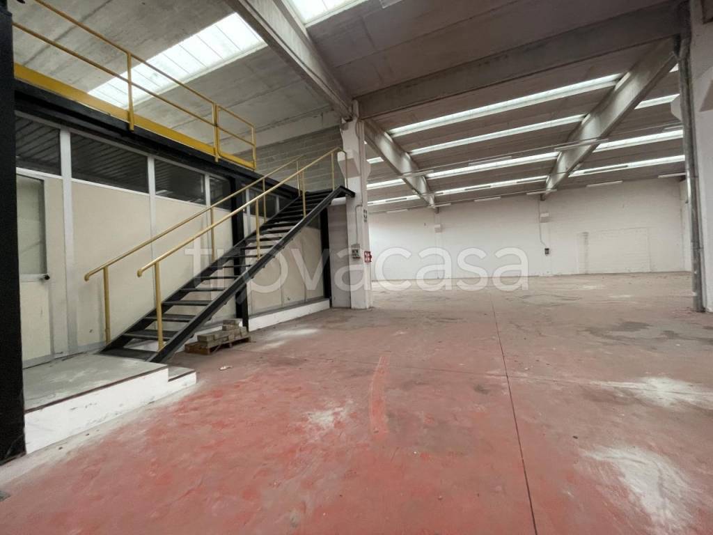 immagine annuncio 6 di 11