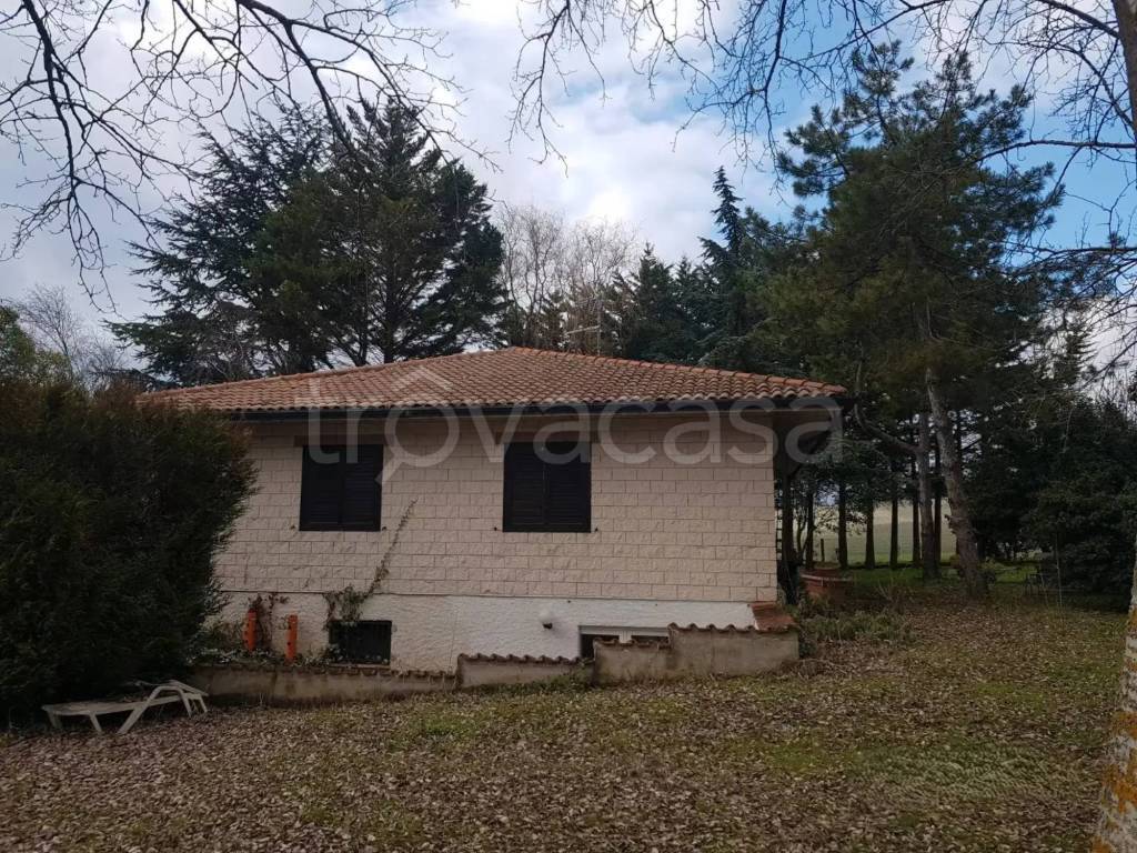 immagine annuncio 2 di 6