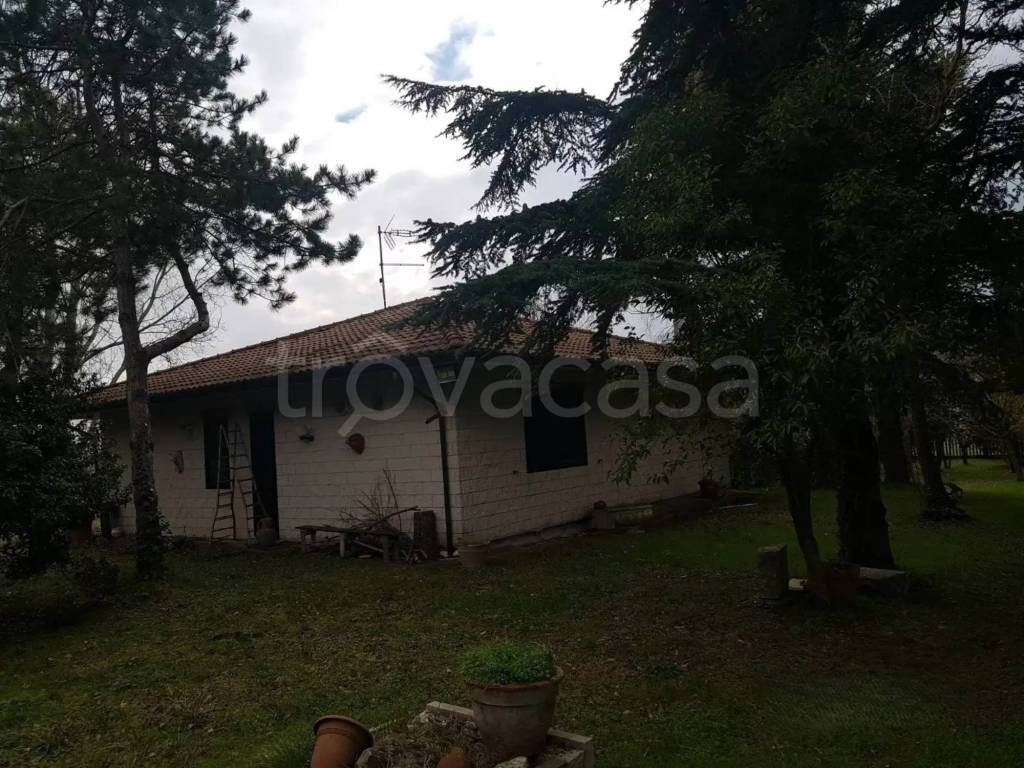 immagine annuncio 3 di 6