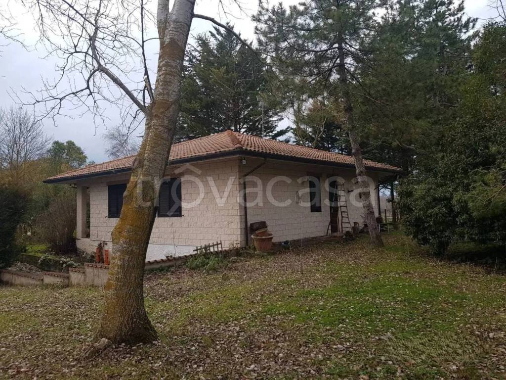 immagine annuncio 4 di 6