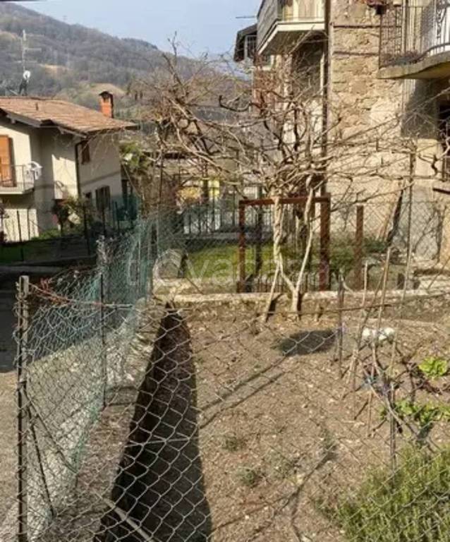 immagine annuncio 3 di 11