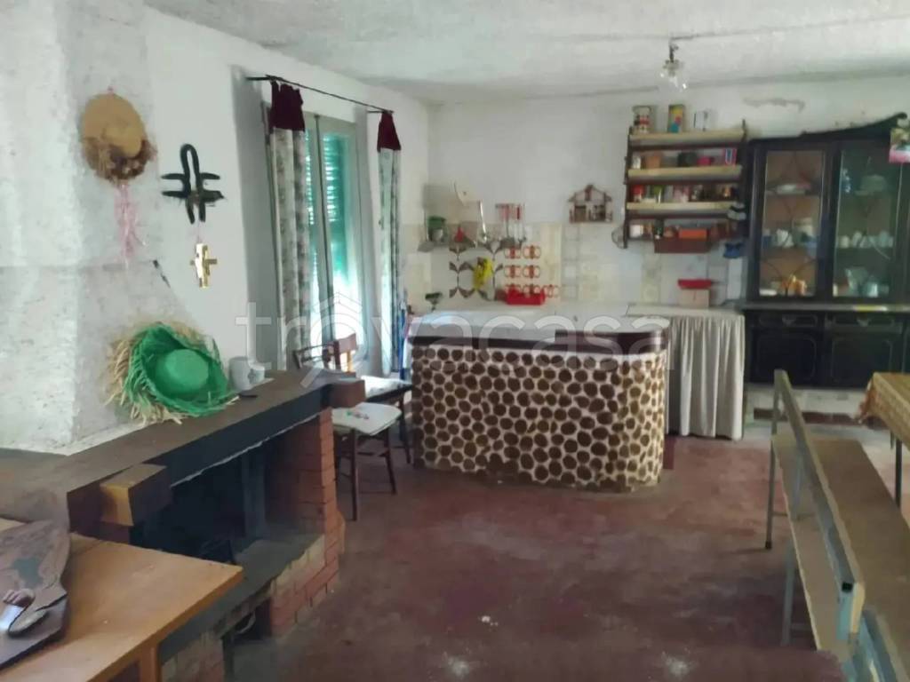 immagine annuncio 7 di 13