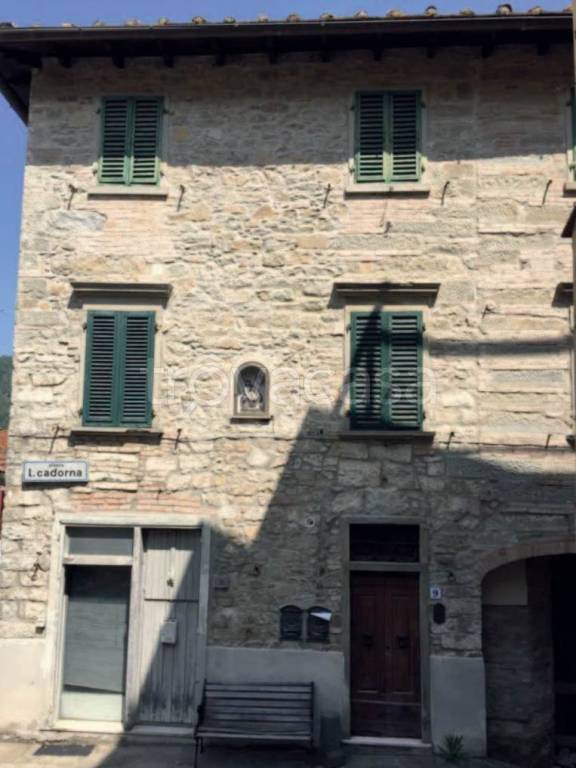 immagine annuncio 11 di 14