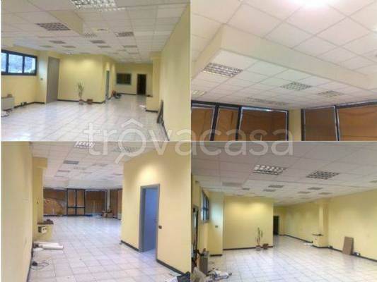 immagine annuncio 2 di 8