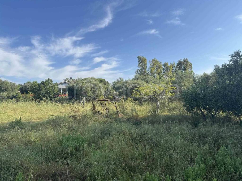 immagine annuncio 2 di 7