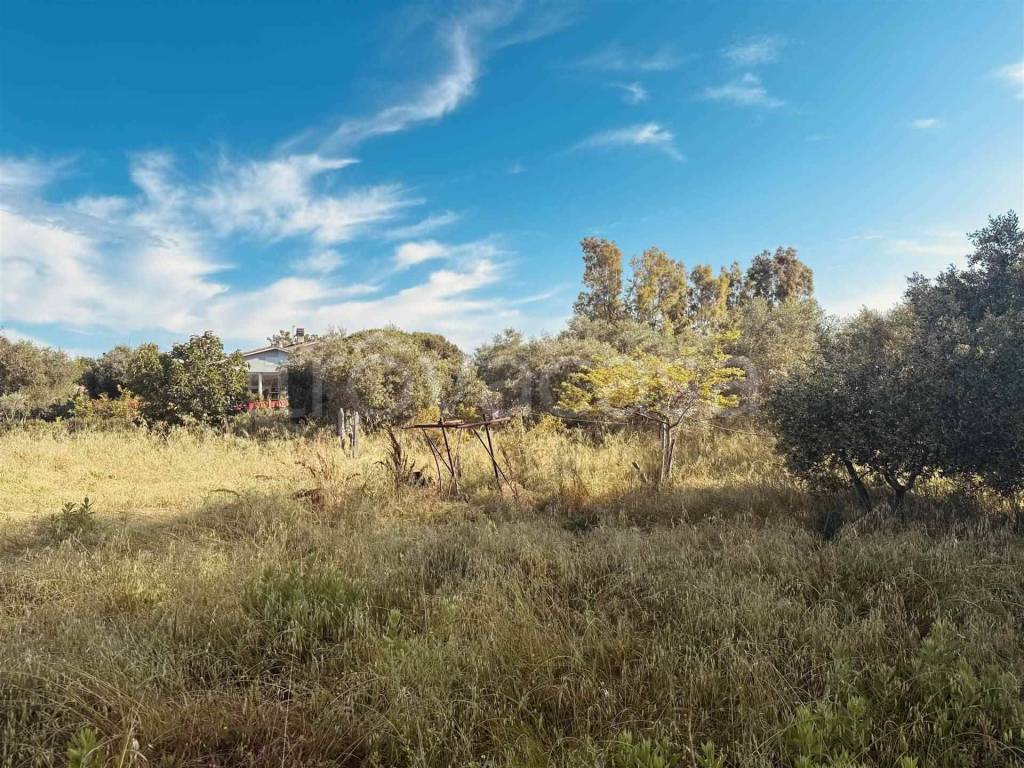 immagine annuncio 6 di 7