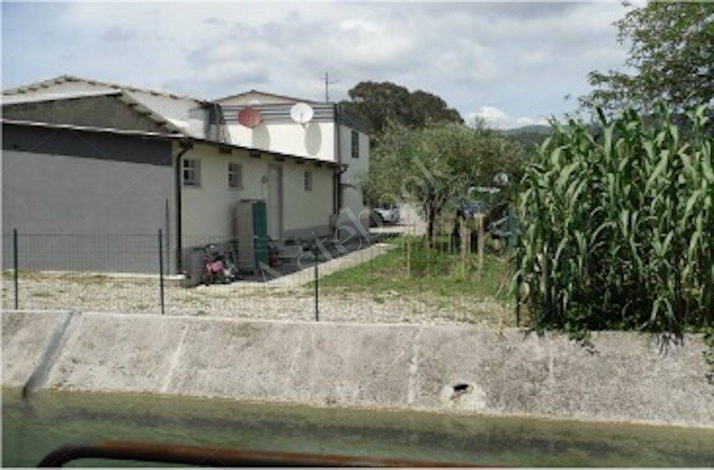 immagine annuncio 2 di 6