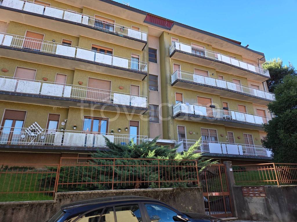 immagine annuncio 1 di 12