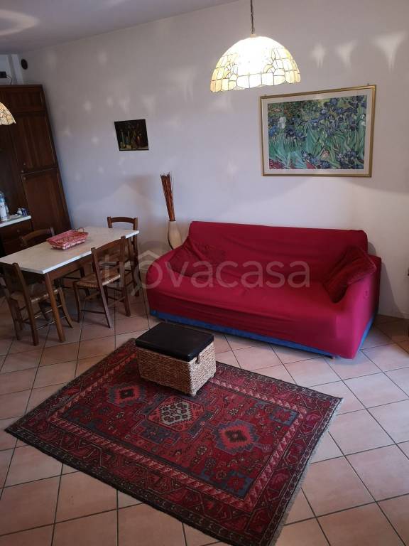 immagine annuncio 9 di 15