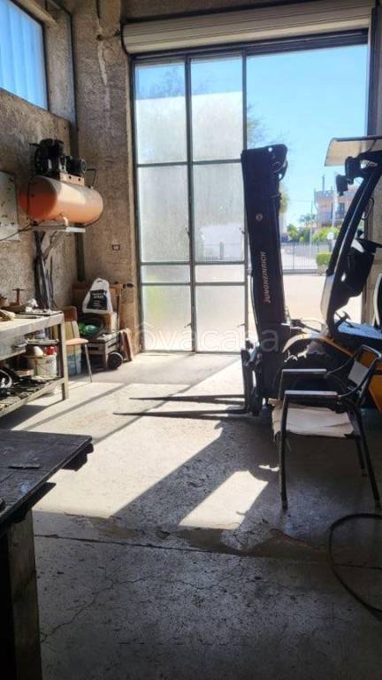 immagine annuncio 14 di 15