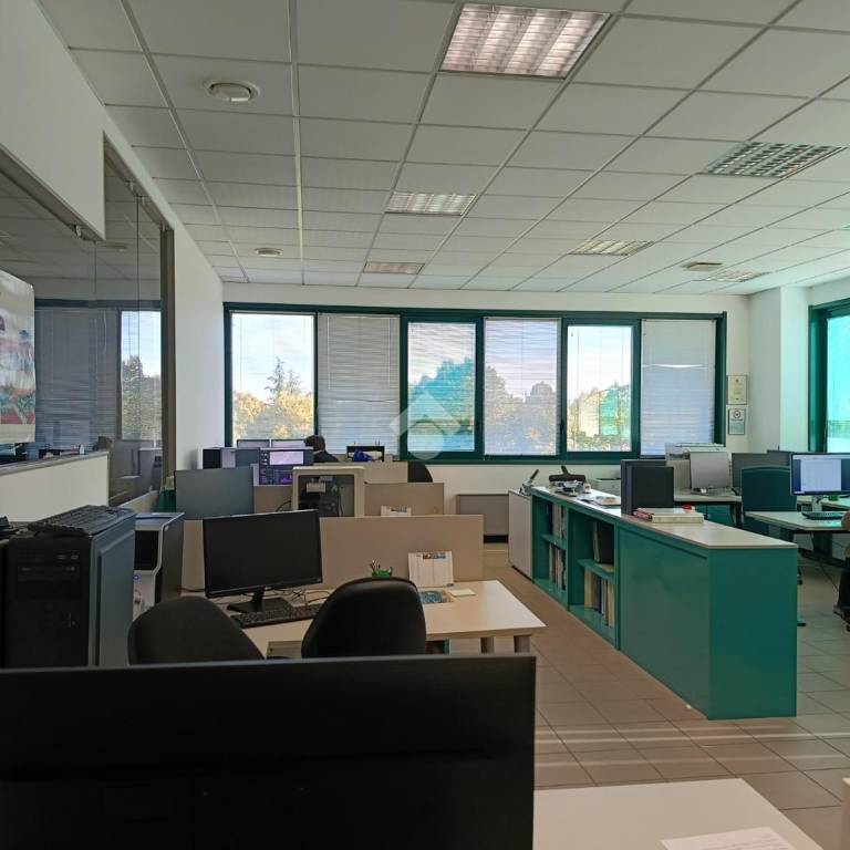 immagine annuncio 11 di 15