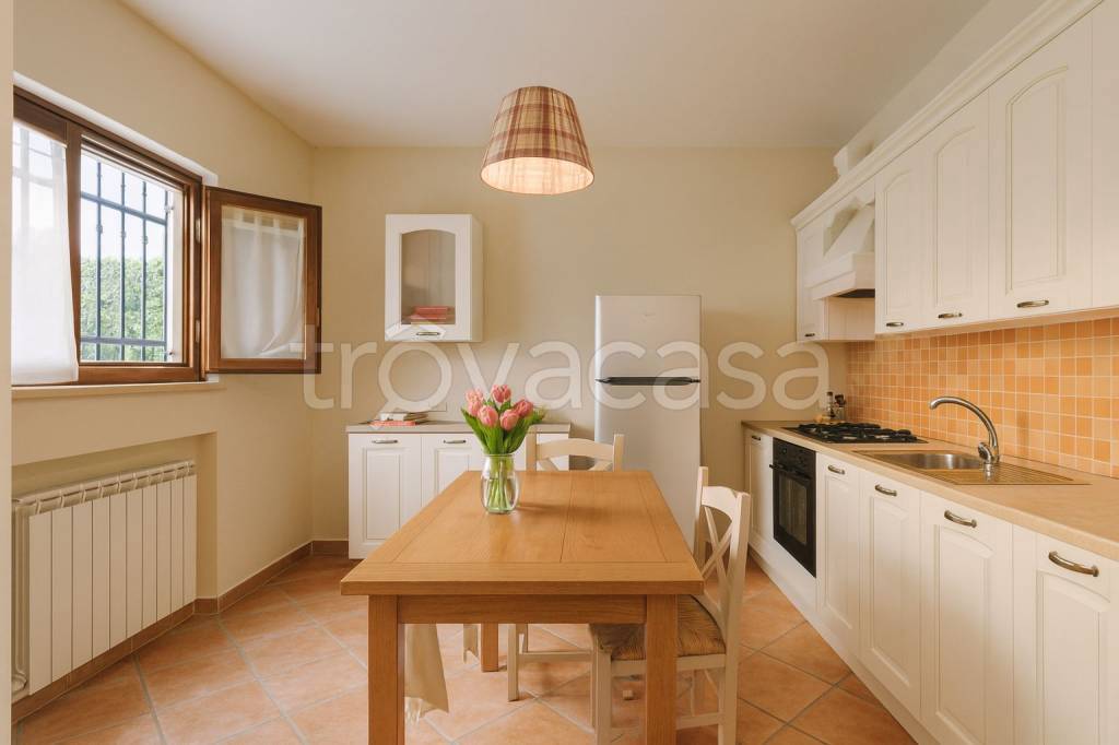 immagine annuncio 2 di 14