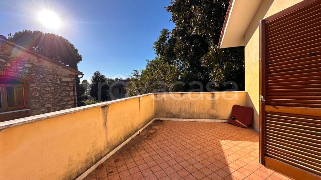 immagine annuncio 12 di 14