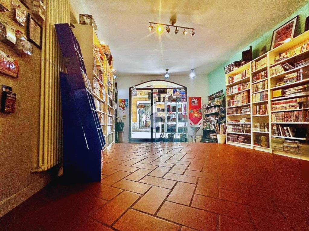 immagine annuncio 9 di 15