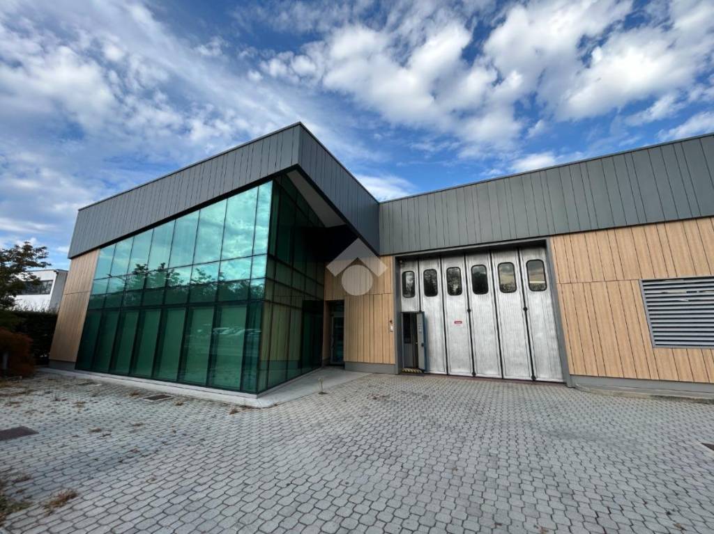 immagine annuncio 1 di 15