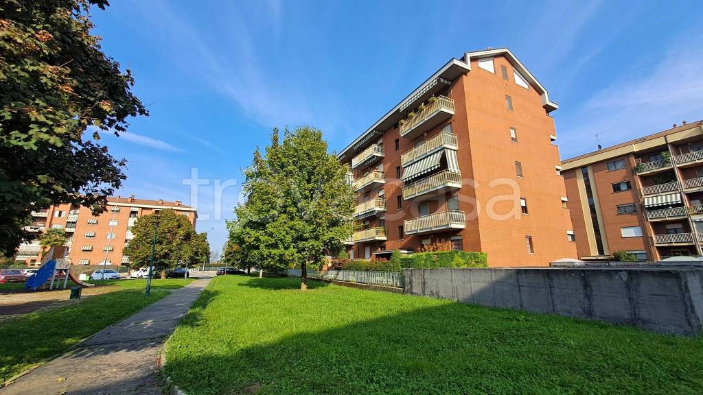 immagine annuncio 3 di 15