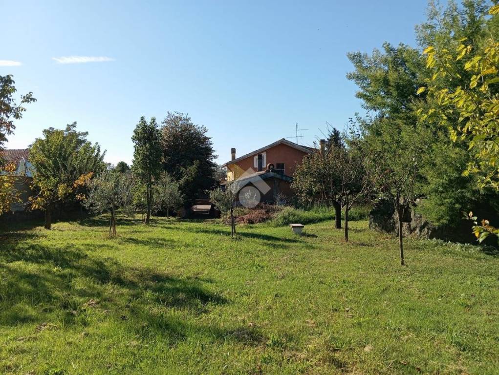 immagine annuncio 4 di 7