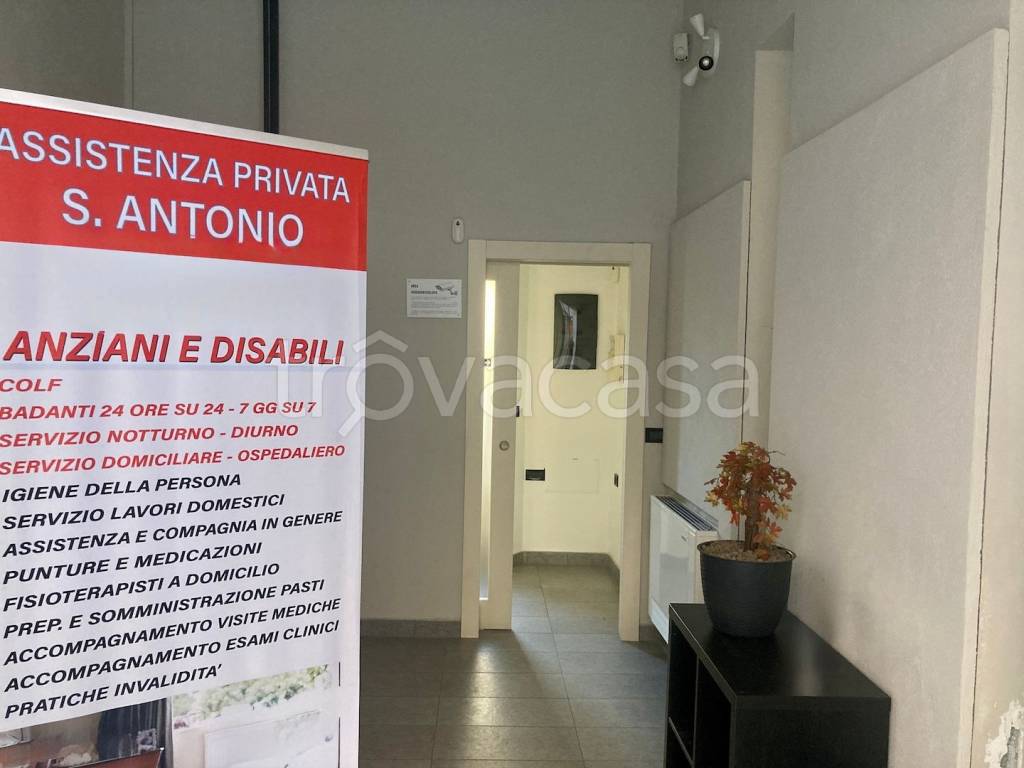 immagine annuncio 7 di 11