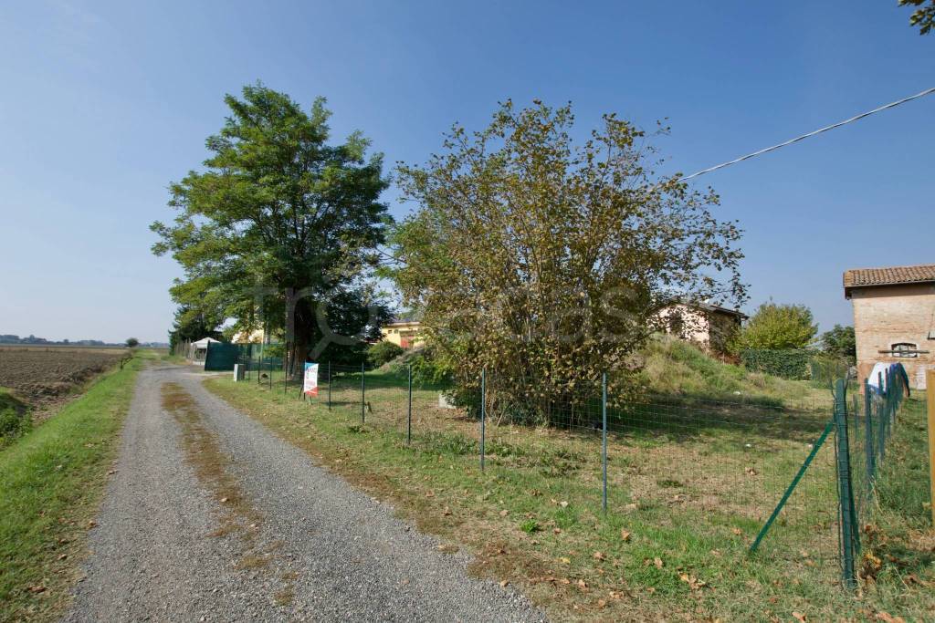 immagine annuncio 4 di 8