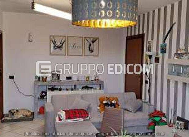 immagine annuncio 2 di 15